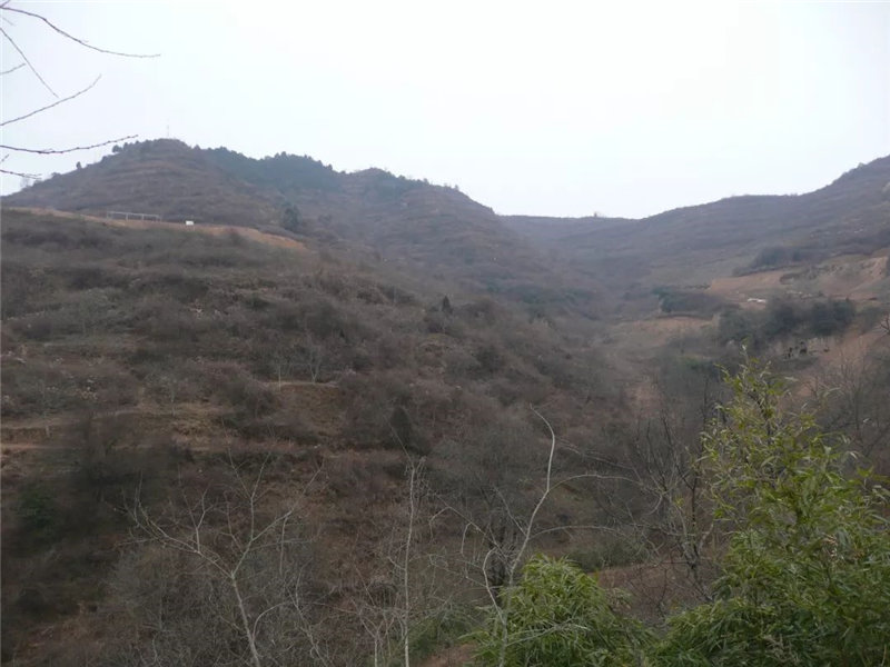 201908231566531073134801.jpg 20190823_112745_025.jpg