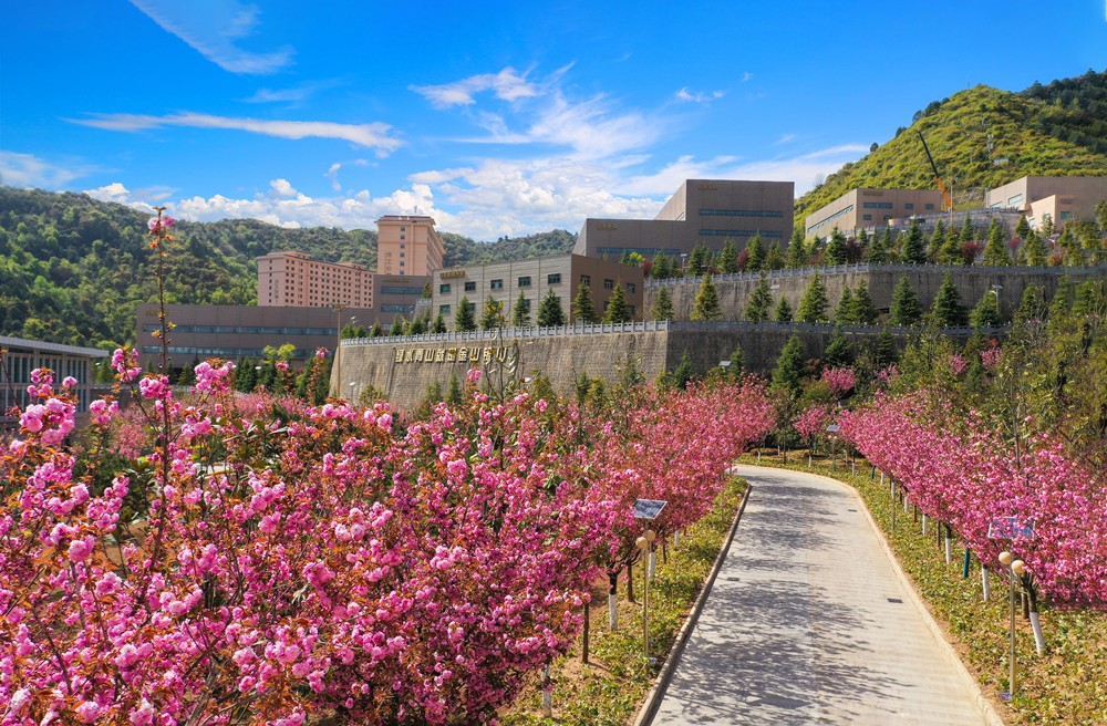 202301121673485709665761.jpg 18-櫻花大道_副本.jpg