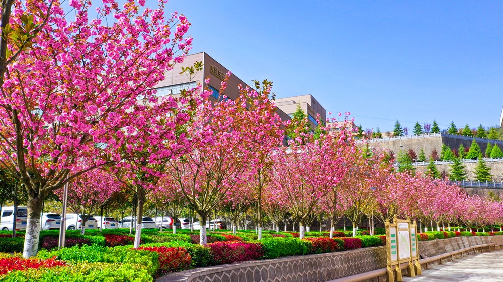 202304151681552727371009.jpg 14.jpg