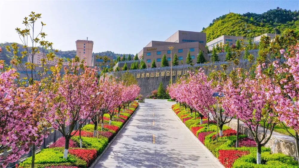 202307261690366472412894.jpg 640 (1).jpg