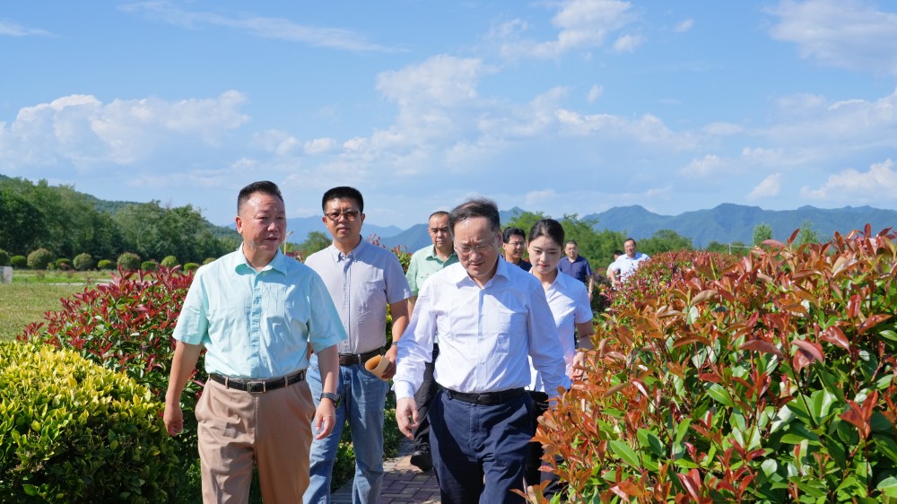 202406251719297948188172.jpg 10.jpg