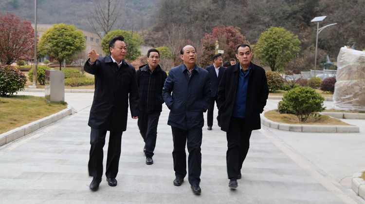 省自然資源廳廳長王忠民調研時指示 繼續支持和幫助金徽股份